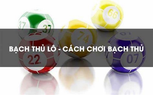 Bạch thủ lô là gì? Đâu là cách đánh bạch thủ lô chắc ăn nhất